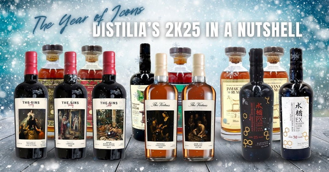 Distilia 2025 in a Nutshell